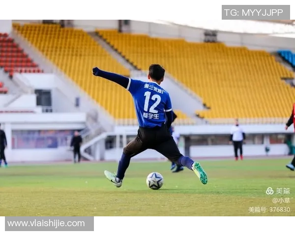 林茨与岽的较量揭示足球战术的魅力与激情 林茨与岽的较量揭示足球战术的魅力与激情