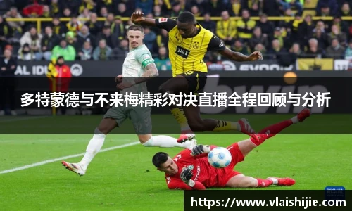 zoty中欧平台